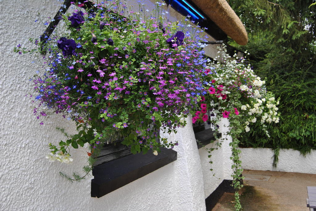 The Trout Inn Tiverton  Exterior foto